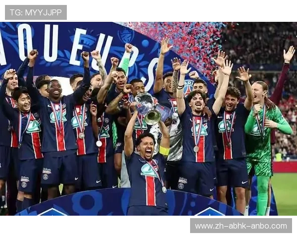 中国财团收购意甲球队的案例及影响分析